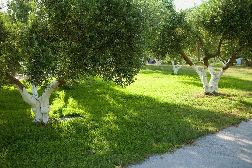 Haus Risos Next Generation Διαμέρισμα Τορώνη Εξωτερικό φωτογραφία